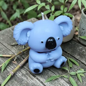 Kasimir der Koala