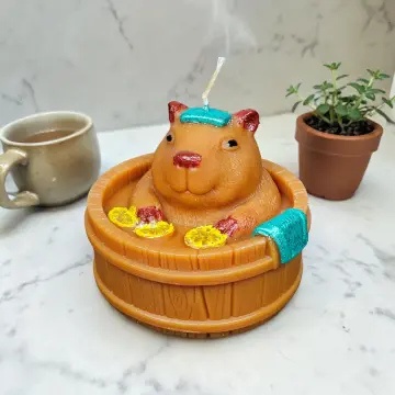 Capybara Spa – Einfach mal abschalten