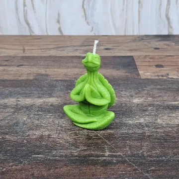 Meditierende Schildkröte