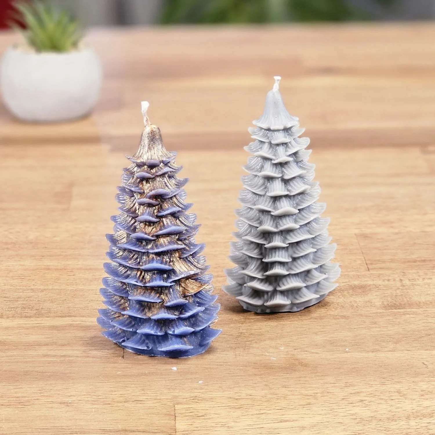 Wintergeflüster Tanne