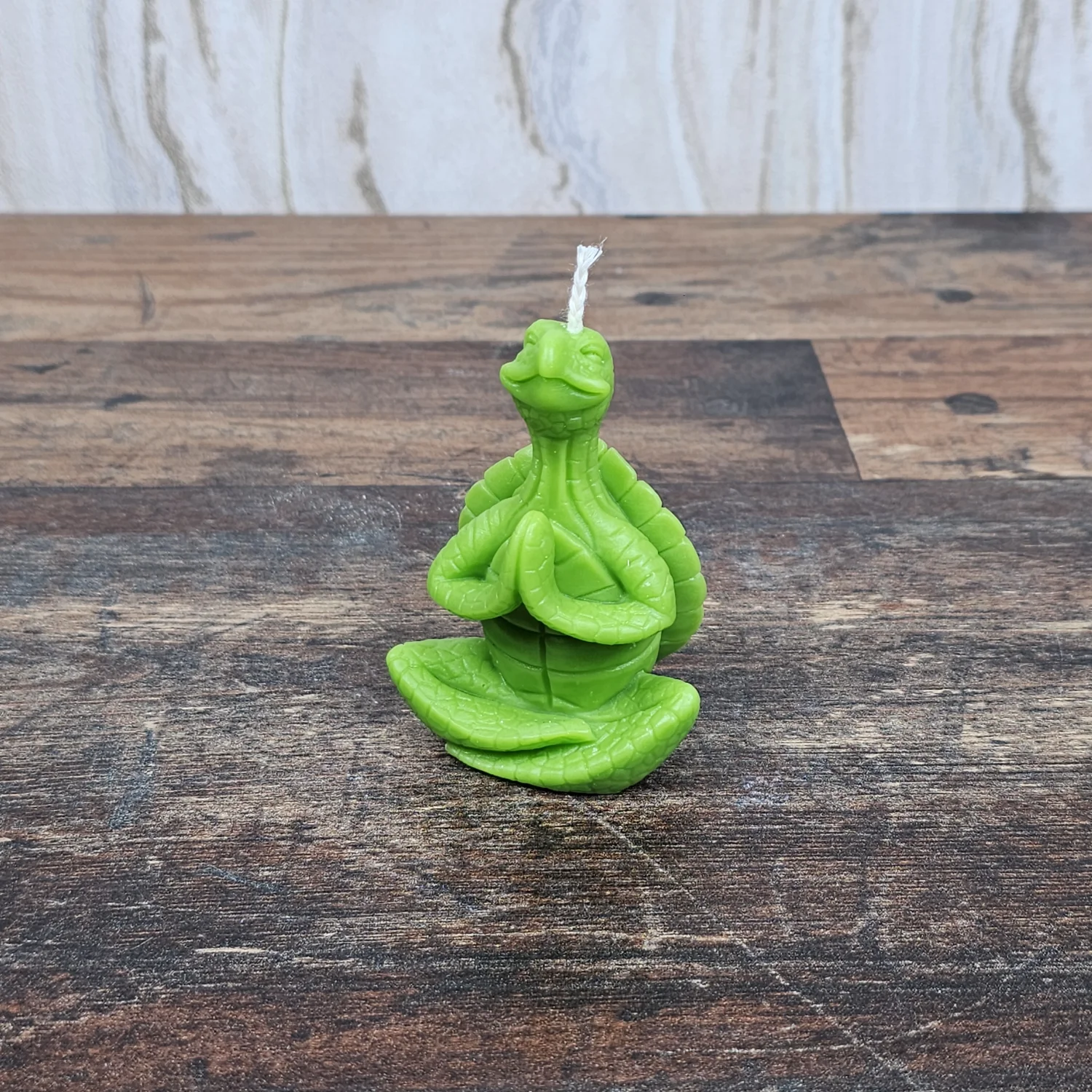 Meditierende Schildkröte